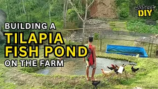 Building a Tilapia Fish Pond on the Farm