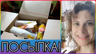 Уиии!🥳Посылка с растениями! От канала @user-st6mo2fj2n Распаковка, обзор и куча эмоций! Цветы🌸