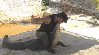 Alligator Tricks