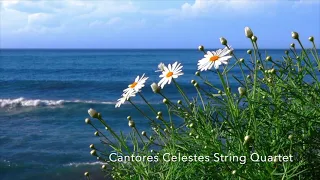 Bruckner: 'Locus Iste'  - Cantores Celestes Maritimes & The Saint John Men's Chorus