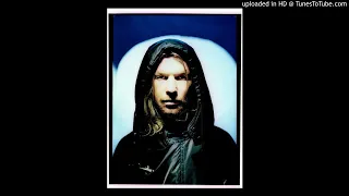 Aphex Twin - Windowlicker (Acid Edit) [Warp20 Elemental]