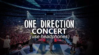 Watch this if you haven't been to a ONE DIRECTION concert (USE HEADPHONES)