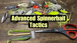 Advanced Spinnerbait Fishing Tactics And Techniques