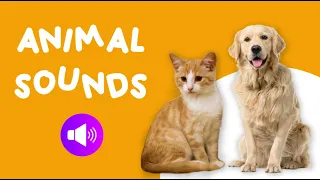 Animals Sounds for Children | 20 Amazing Animals