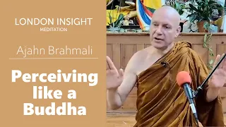 Ajahn Brahmali – Perceiving like a Buddha