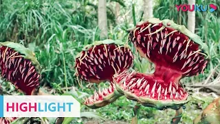 Highlight (Mega Crocodile) Monster misterius yang ada di dalam hutan! | YOUKU [INDO SUB]