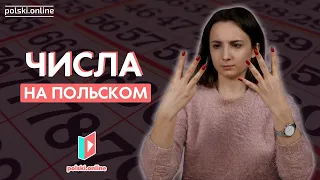 Считаем на польском языке!