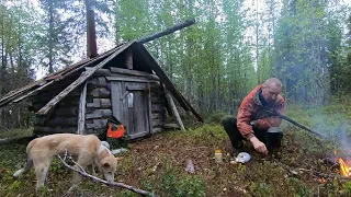 Не погибнуть на пороге избы.Шокирующий поступок медведя.Поход на 4 дня.