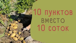 Выращивай картошку как профи! 10 пунктов чтобы ты посадил картофель правильно