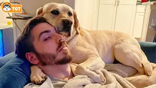 When Your Dog Is King Of The House... 🤣🤣 Funny Dog And Human #1