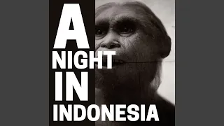 A NIGHT IN INDONESIA (Instrumental)