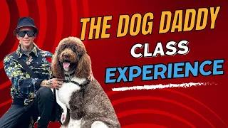 Dog Trainer Teaches All About Reactive/Aggressive Dogs/ The Dog Daddy