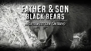 Father & Son Black Bears (TEASER)