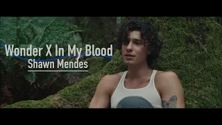 Wonder X In My Blood - Shawn Mendes (Kieran Stracey Remix)