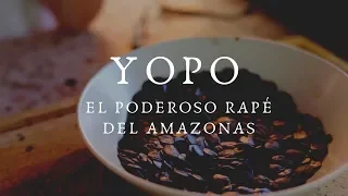 Yopo (DMT + 5meo-DMT), la planta de poder chamanica para despertar la Consciencia (España 2018)