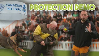 Protection Demo with our dogs - How it went 🫣