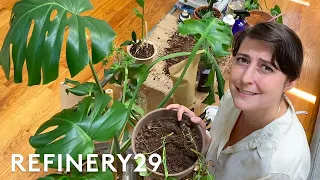 I Turned My NYC Apartment Into An Indoor Garden | 100 Things | Refinery29