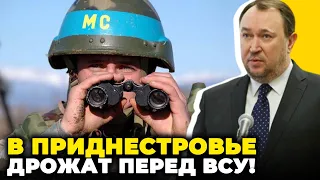 😱У МОЛДОВІ РОЗПОВІЛИ ДЕТАЛІ плану РФ щодо повалення влади! КИШИНІВ дасть Путіну відсіч! / Тенасе