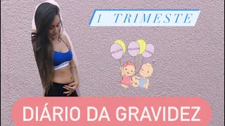 DIÁRIO DA GRAVIDEZ - ENJÔO, ESPINHAS - PRIMEIRO TRIMESTRE