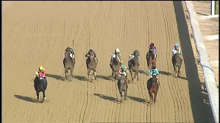 Laurel Park 12 10 2020 Race 6