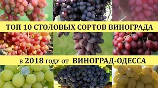 ТОП 10 ЛУЧШИХ СОРТОВ ВИНОГРАДА  2018 года(Top of the best grapes in 2018), лучшие сорта винограда