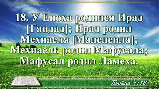 ВидеоБиблия Бытие глава 4 Бондаренко