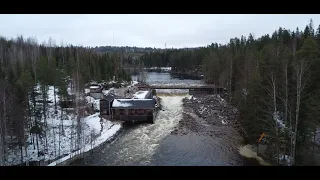 TÄNÄÄN: Hiitolanjoen kevättulva ja Lahnasenkosken kova kohtalo