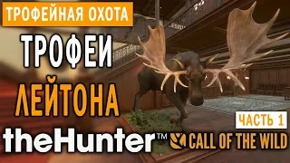 theHunter Call of the Wild #1 🔫 - Трофеи Лейтона (Часть 1) - Поместье Спринг-Крик