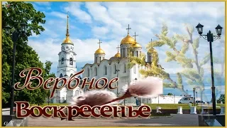 🌿КРАСИВОЕ ПОЗДРАВЛЕНИЕ С ВЕРБНЫМ ВОСКРЕСЕНЬЕМ!🌿ВИДЕО-ОТКРЫТКА🌿