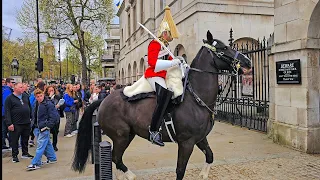 MOVE BACK! MELTDOWN as POLICE guard and tourists run when King's Horse quits at Horse Guards!