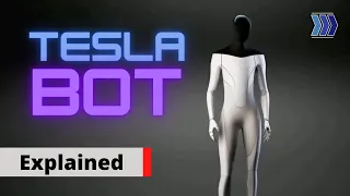 Tesla AI Robot! - Explained