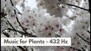 Music for Plants 432 Hz Frequency Music for plants growth and happiness