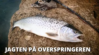 The Cold Hunt For The Big Seatrout - Open Coast Fishing! (Big Fish Inhales The Lure)