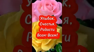 Я мира Вам желаю и добра!