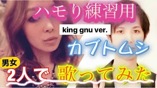 カブトムシ ハモり練習用 aiko × king gnu井口理ver.