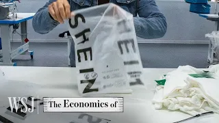 How Is Shein Really Keeping Prices So Low? | WSJ The Economics Of