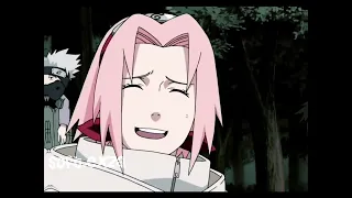 🌸ɞ ─ It’s Sakura Haruno month • (repost edit)