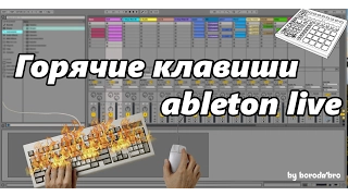 Самые полезные горячие клавиши Ableton live 11