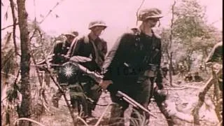 United States Marines crawl and advance in Saipan, Mariana Islands during World W...HD Stock Footage