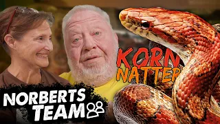 CAROLAS NATTERN | NORBERTS TEAM | Zoo Zajac