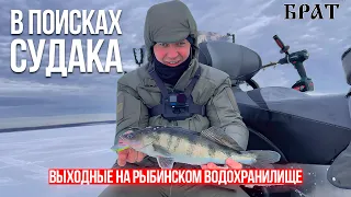 Ищем рыбу с помощью эхолота (GPSMAP + Panoptix LIVESCOPE) на Рыбинском водохранилище.