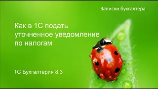 Как в 1С подать уточненное уведомление по налогам