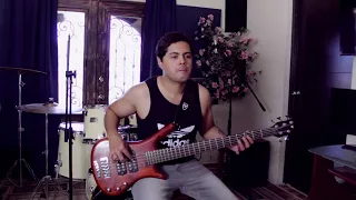 The Weeknd - Save Your Tears (bass cover)