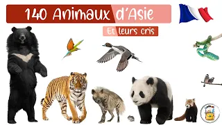 140 Animaux D'Asie En Français - Les Cris Des animaux Et Les Noms Des Animaux Pour Les Enfants