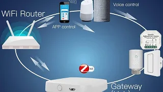 Zigbee Gateway & Switch Configuration #zigbee #smarthome #automation