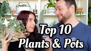 Top 10 Favorite Plants & Pots in my Boyfriend's Collection!! Hoya, Anthurium, Euphorbia + More!! 🌿💙