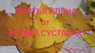 ОТ БОЛИ В СУСТАВАХ КЛЕНОВЫЕ ЛИСТЬЯ, ПРОВЕРЕННОЕ СРЕДСТВО #дневникоптимистки #суставы