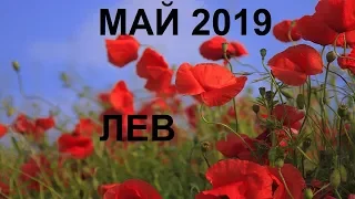 ЛЕВ Таро гороскоп на МАЙ 2019