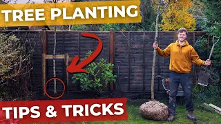 How to Plant and Stake a Tree | Full Rootball Install Guide