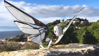 Amazing Flying Robots you must see